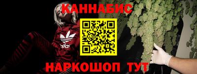 стаф Кандалакша