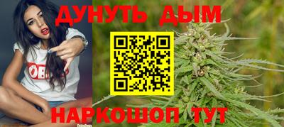 стаф Камышлов
