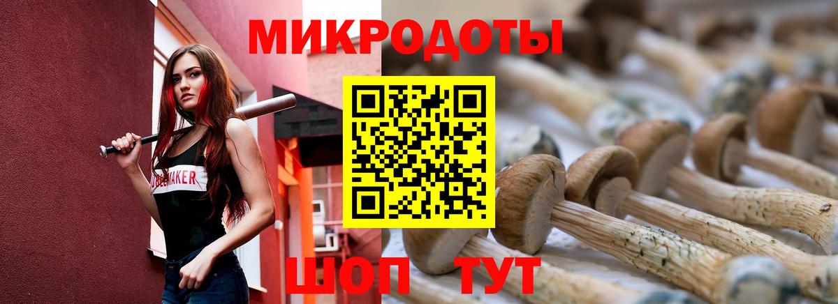 Галлюциногенные грибы MAGIC MUSHROOMS  Вход с VPN  Шумерля 